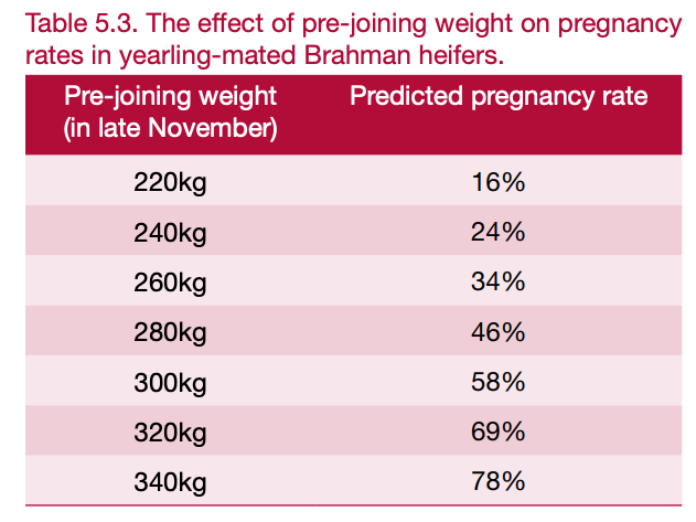 Nutrition & Cow Health