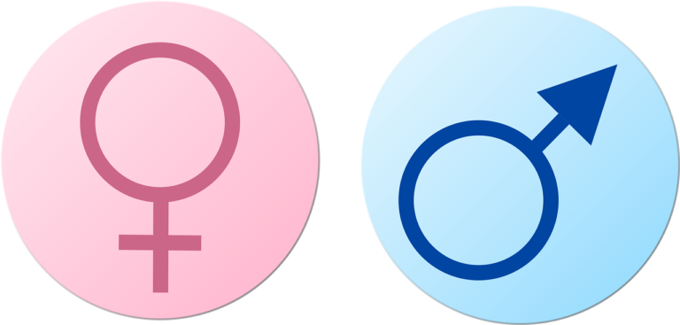 male, female, gender-5676939.jpg